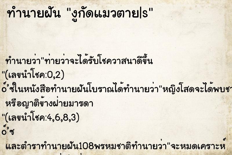 ทำนายฝันทำนายฝันงูกัดแมวตาย|s